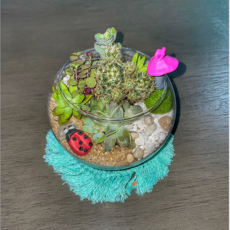 My Tiny Plant Shop