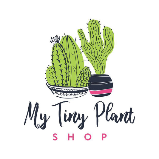 My Tiny Plant Shop