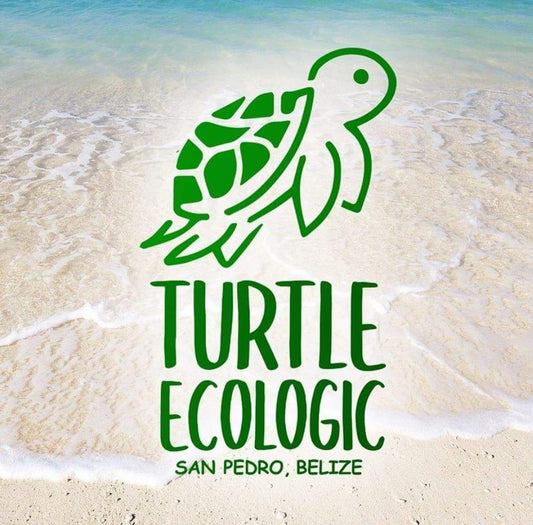 Turtle Ecologic BZ