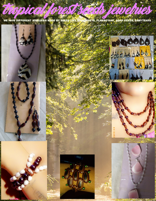 Tropical Forest Seed Jewelries